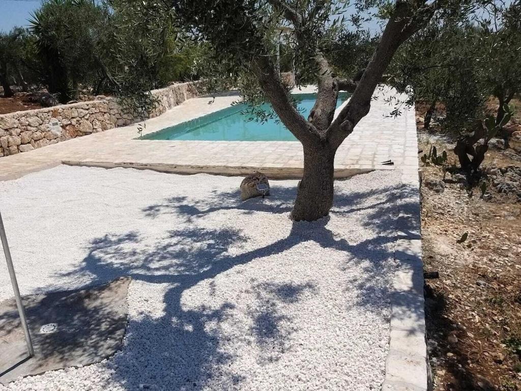 Casa Giuliveto - Charmantes Ferienhaus Mit Privatpool In Olivenhain Ostuni Exterior foto