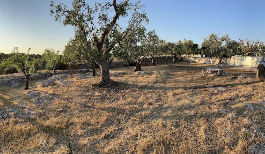 Casa Giuliveto - Charmantes Ferienhaus Mit Privatpool In Olivenhain Ostuni Exterior foto