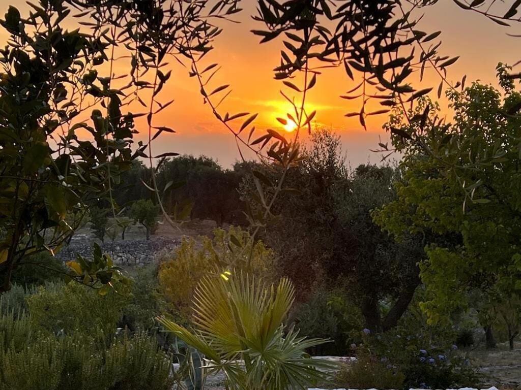Casa Giuliveto - Charmantes Ferienhaus Mit Privatpool In Olivenhain Ostuni Exterior foto